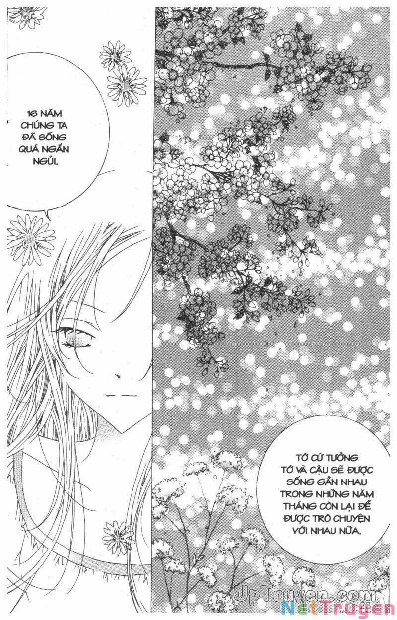 Nước Mắt Nàng Tiên Cá 12 trang 22