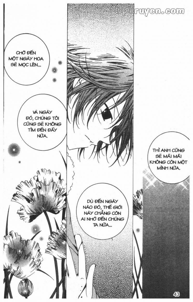 Nước Mắt Nàng Tiên Cá 8 trang 42