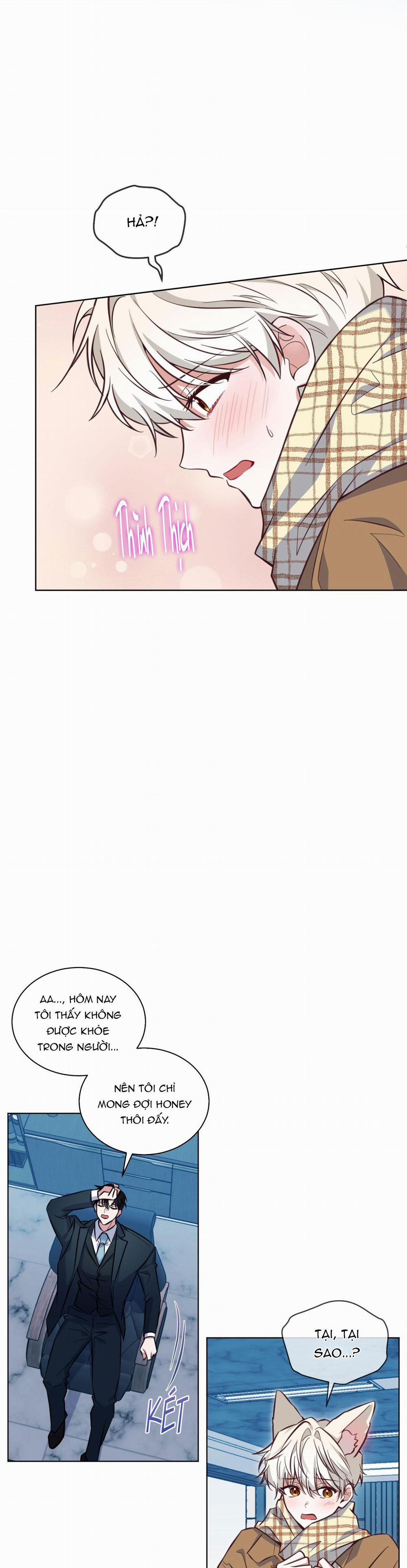 NƯỚC UỐNG TÌNH YÊU CỦA CÁO PLIN 1 trang 27