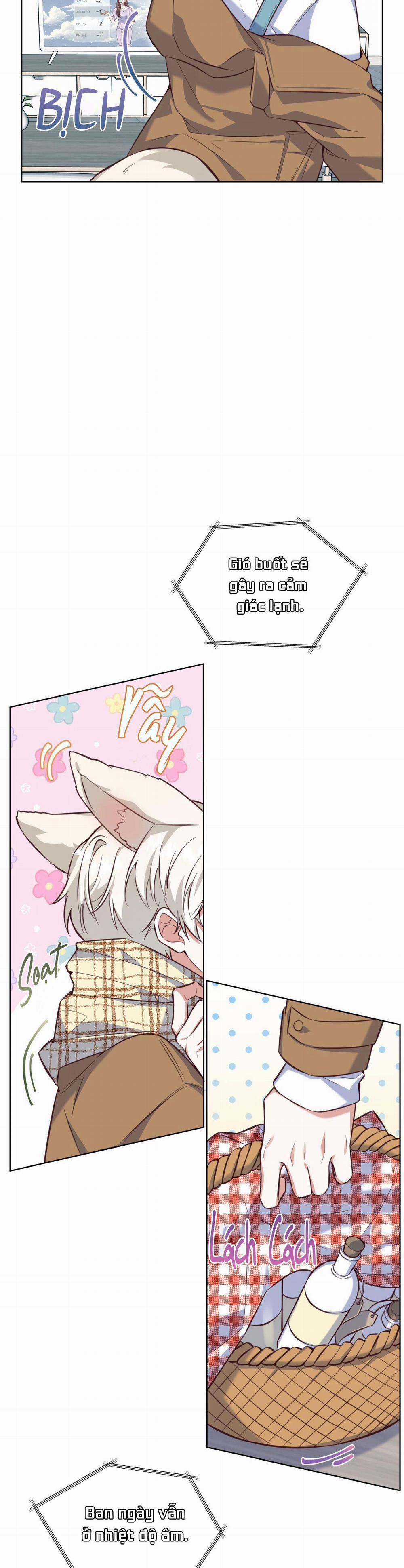 NƯỚC UỐNG TÌNH YÊU CỦA CÁO PLIN 1 trang 3