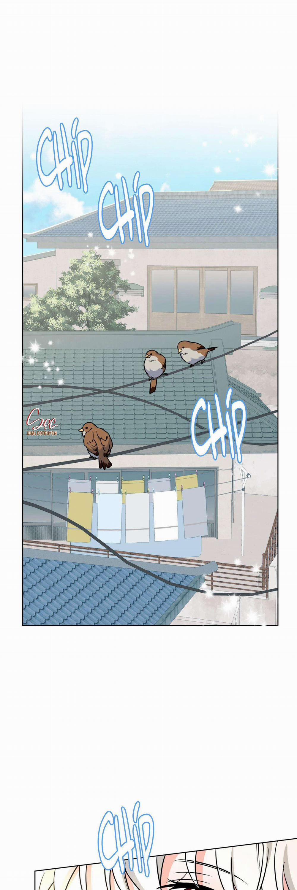 NƯỚC UỐNG TÌNH YÊU CỦA CÁO PLIN 10 trang 1