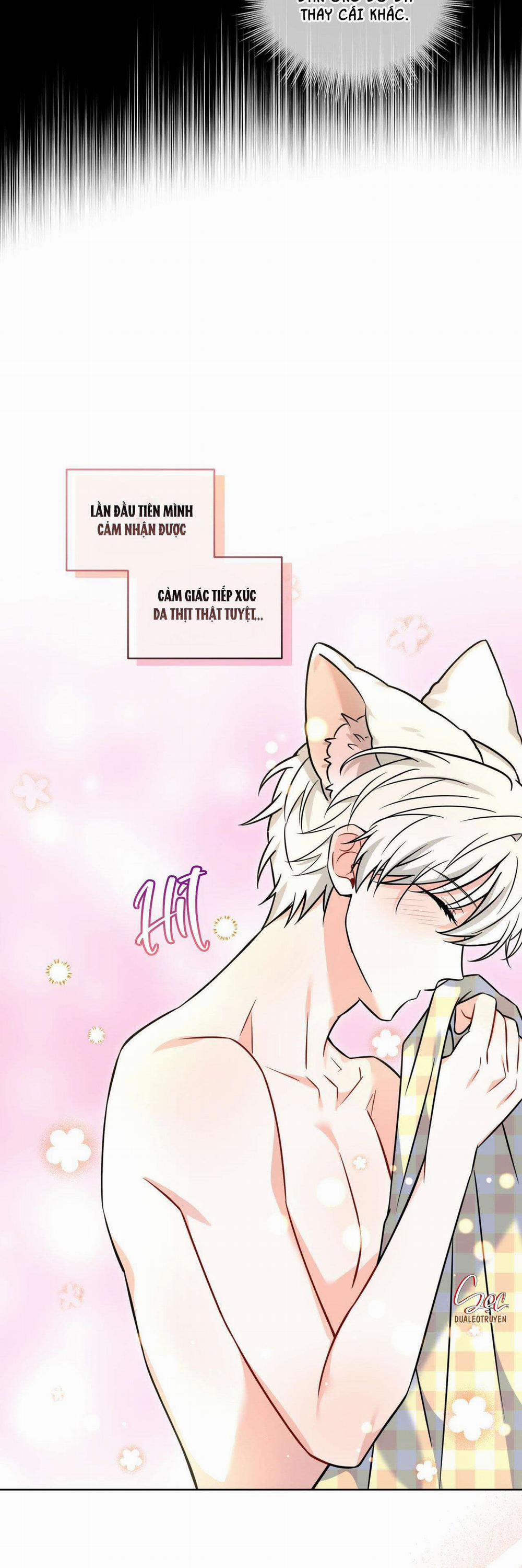 NƯỚC UỐNG TÌNH YÊU CỦA CÁO PLIN 10 trang 5