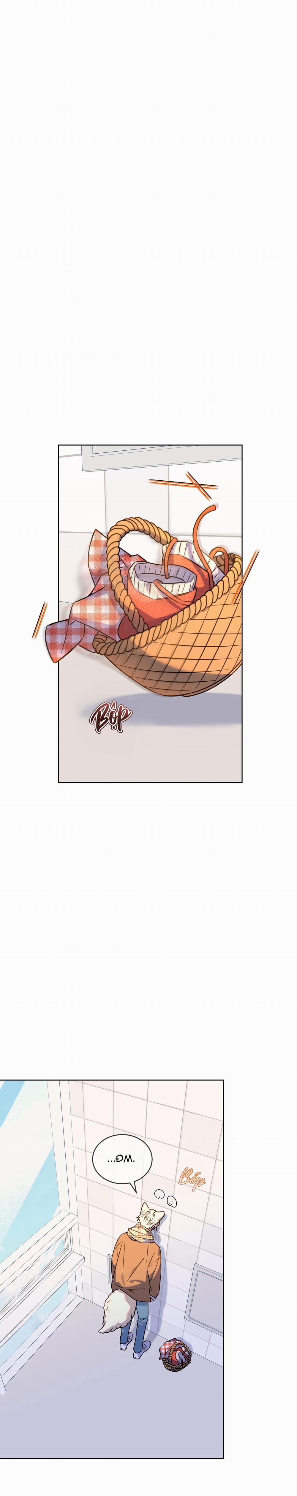 NƯỚC UỐNG TÌNH YÊU CỦA CÁO PLIN 12 trang 1