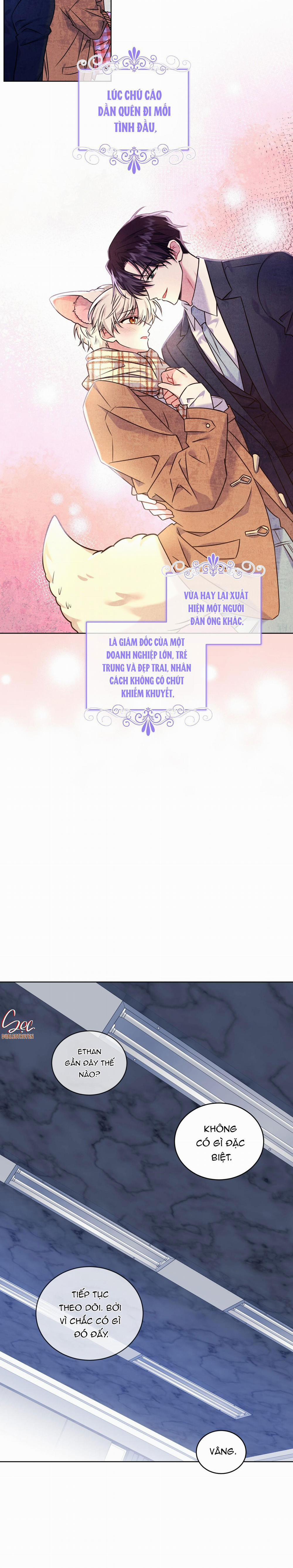 NƯỚC UỐNG TÌNH YÊU CỦA CÁO PLIN 12 trang 16