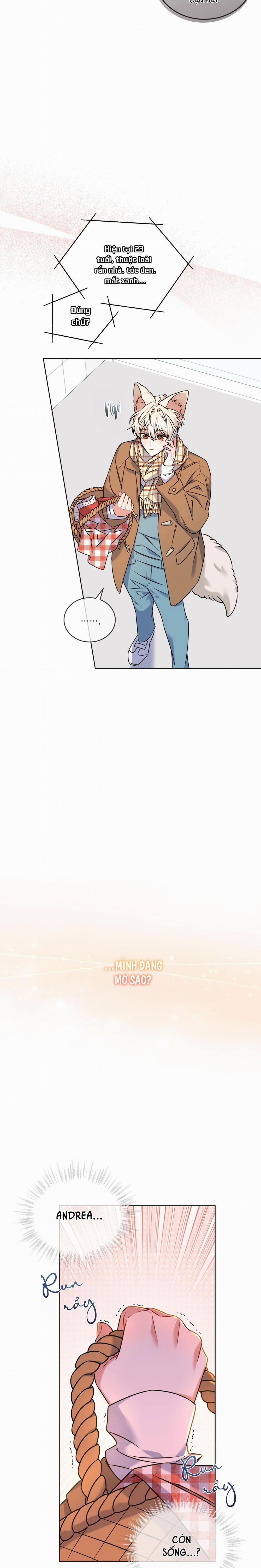 NƯỚC UỐNG TÌNH YÊU CỦA CÁO PLIN 12 trang 5