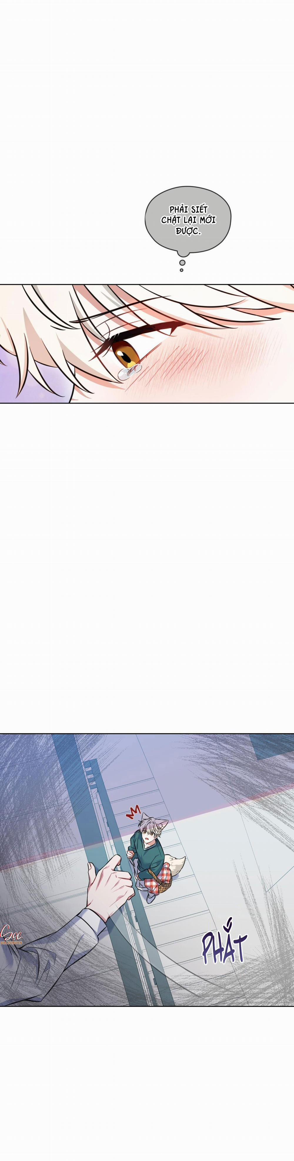 NƯỚC UỐNG TÌNH YÊU CỦA CÁO PLIN 2 trang 16