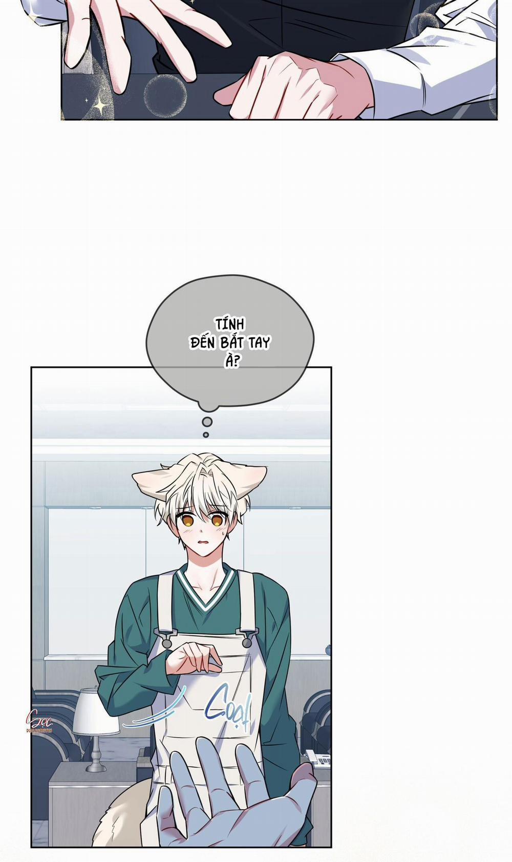 NƯỚC UỐNG TÌNH YÊU CỦA CÁO PLIN 3 trang 56