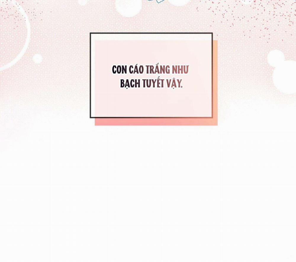 NƯỚC UỐNG TÌNH YÊU CỦA CÁO PLIN 4 trang 81