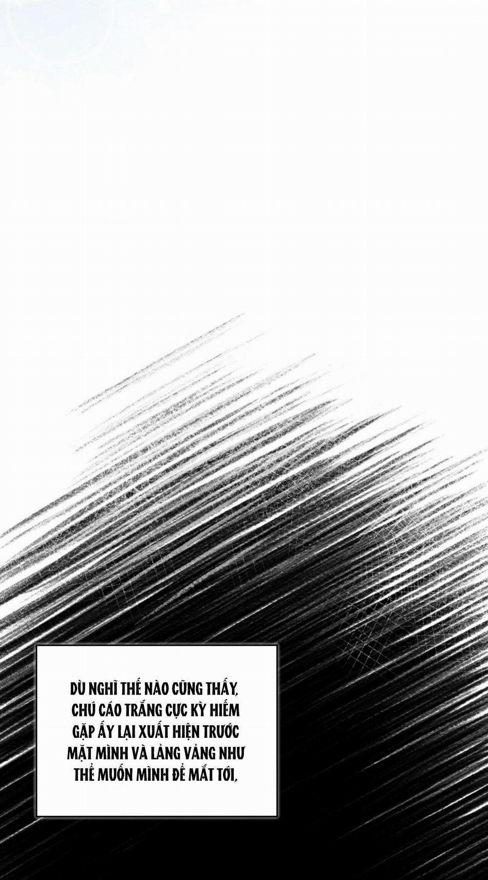 NƯỚC UỐNG TÌNH YÊU CỦA CÁO PLIN 5 trang 22