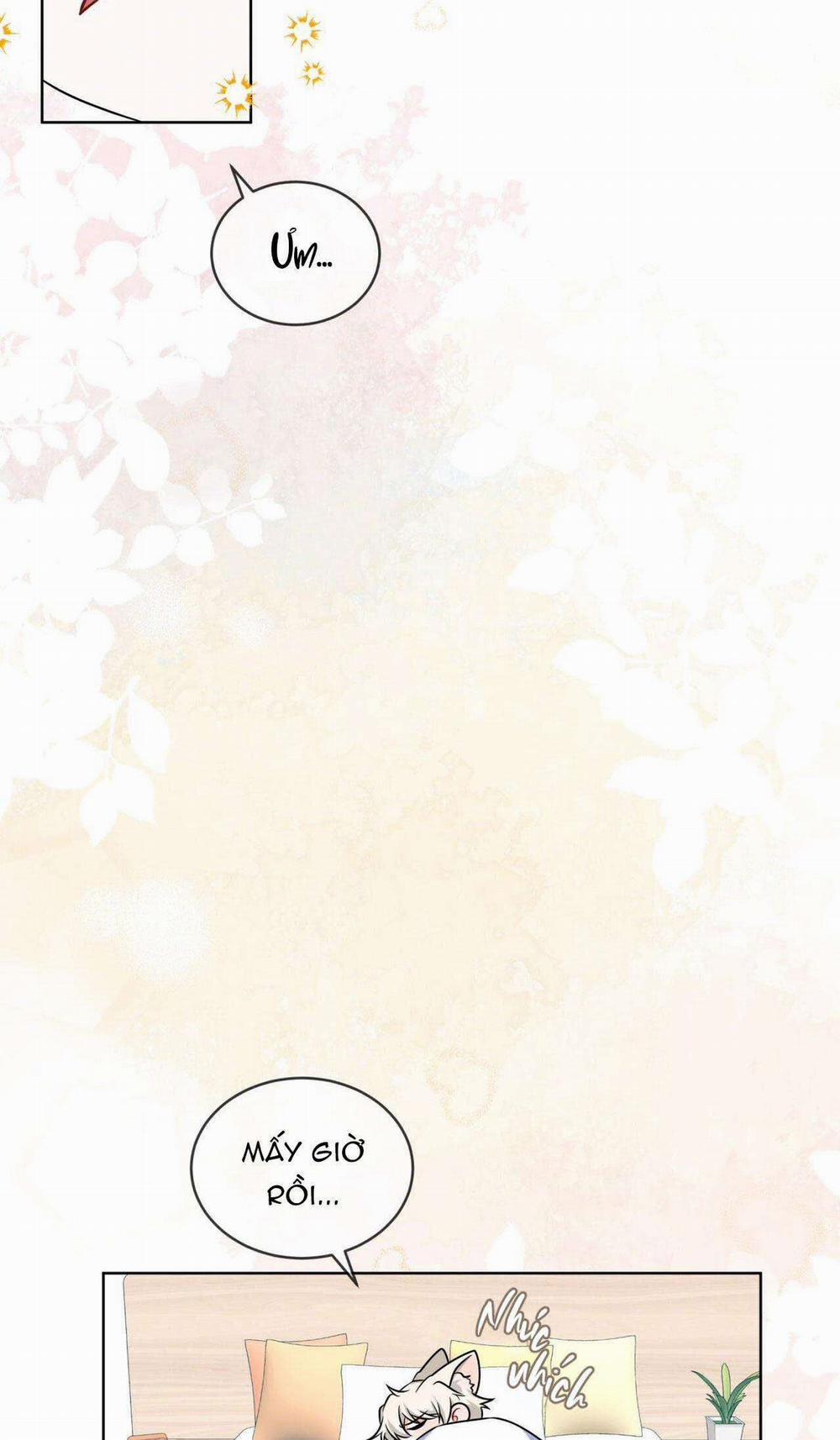 NƯỚC UỐNG TÌNH YÊU CỦA CÁO PLIN 6 trang 50