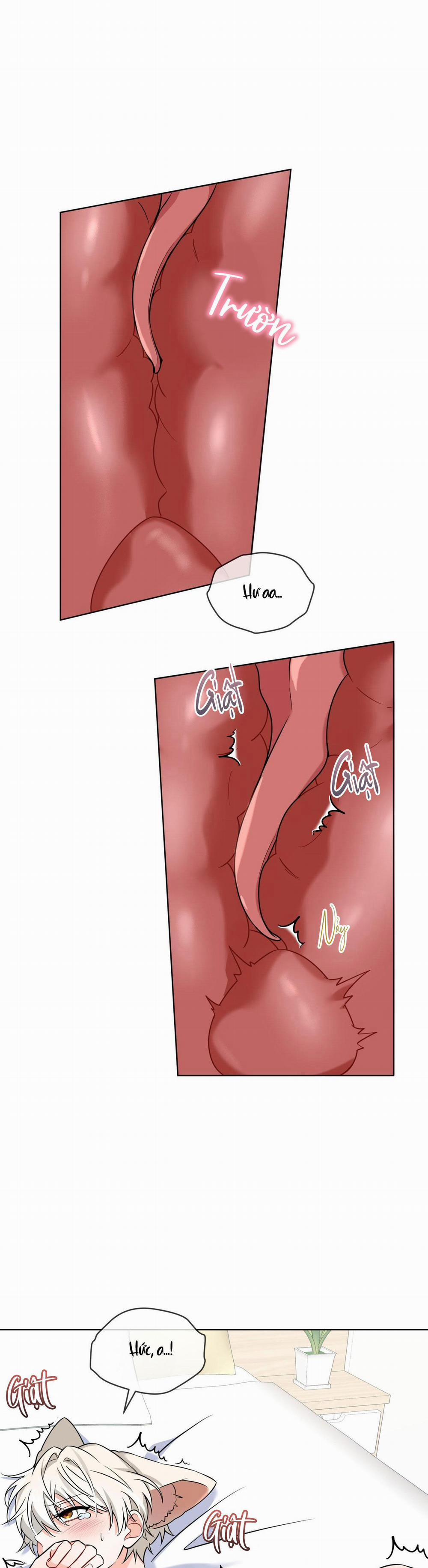 NƯỚC UỐNG TÌNH YÊU CỦA CÁO PLIN 8 H++ trang 22