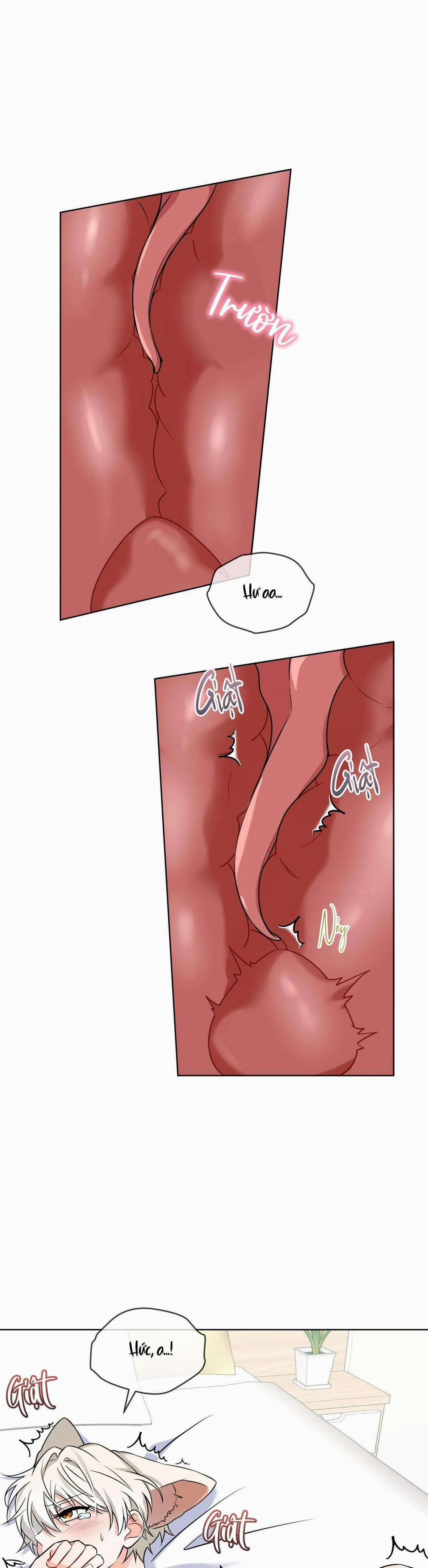 NƯỚC UỐNG TÌNH YÊU CỦA CÁO PLIN 8 trang 22