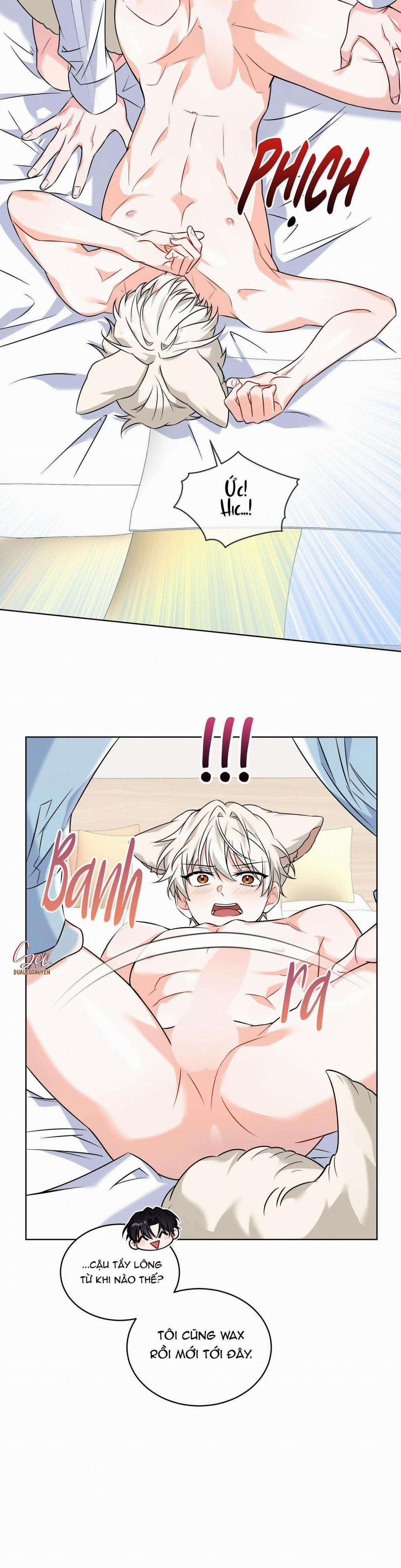 NƯỚC UỐNG TÌNH YÊU CỦA CÁO PLIN 8 trang 9