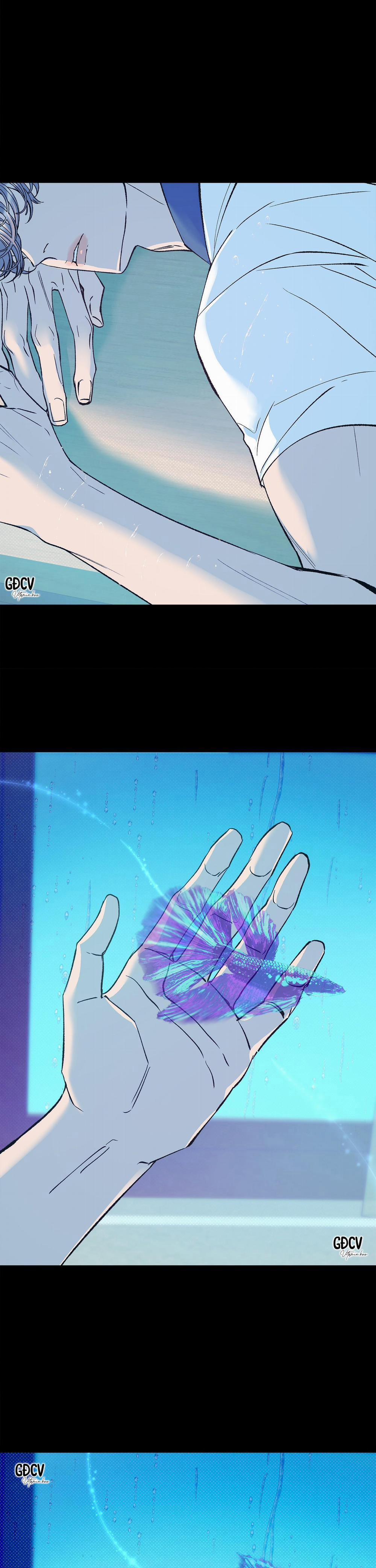 Nuôi Dưỡng Beta 1 trang 2