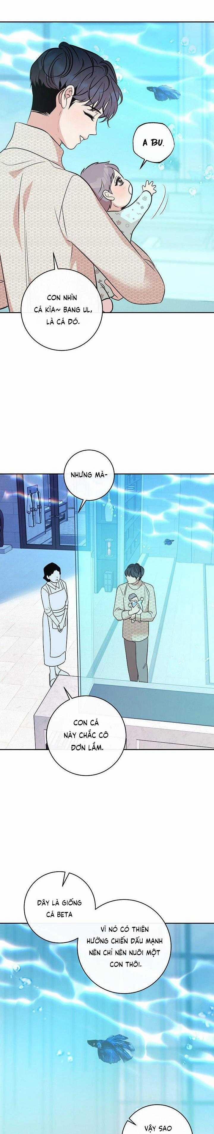 Nuôi Dưỡng Beta 11 trang 18