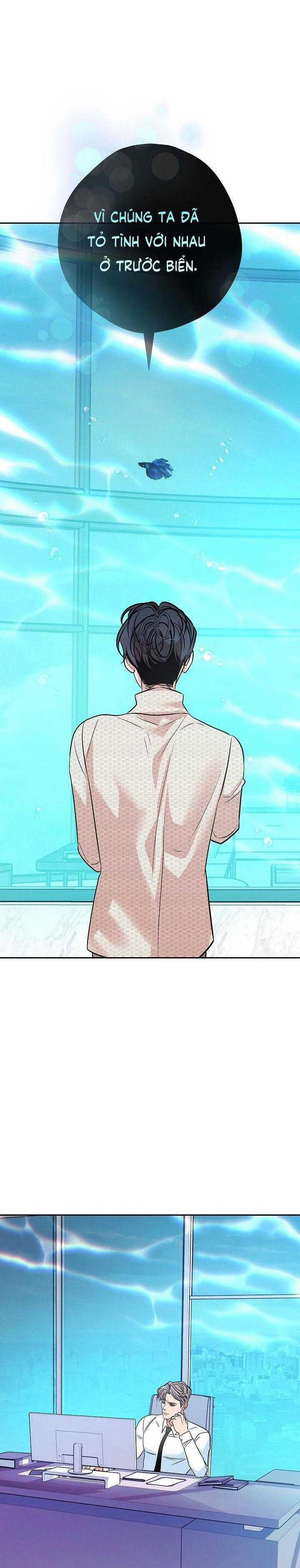 Nuôi Dưỡng Beta 11 trang 20