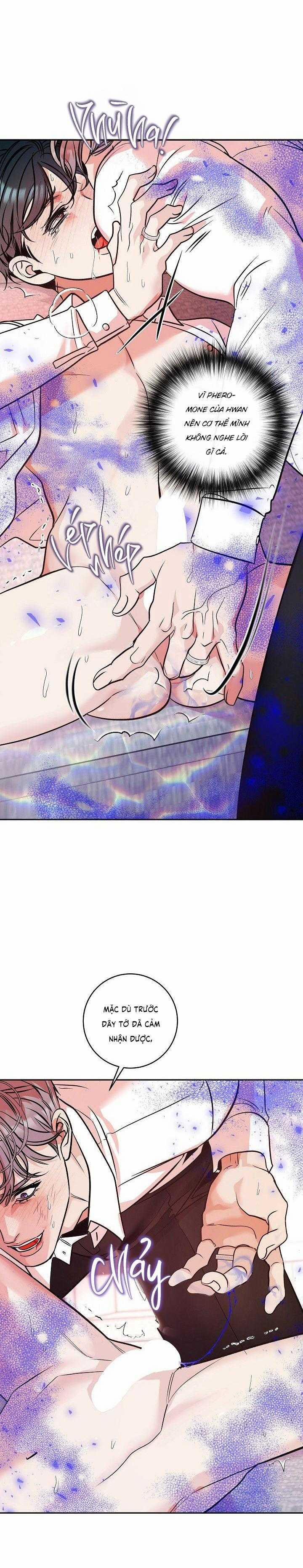 Nuôi Dưỡng Beta 13 trang 12