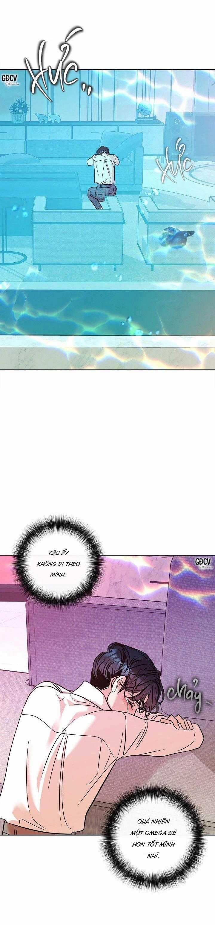 Nuôi Dưỡng Beta 13 trang 6