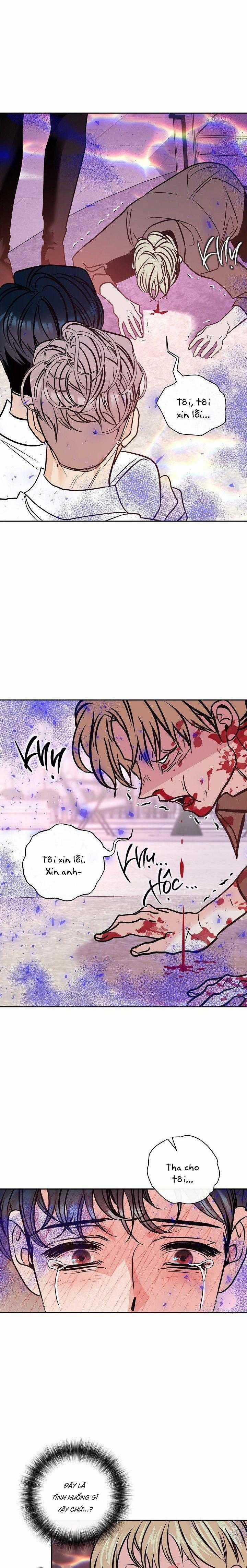 Nuôi Dưỡng Beta 14 trang 4