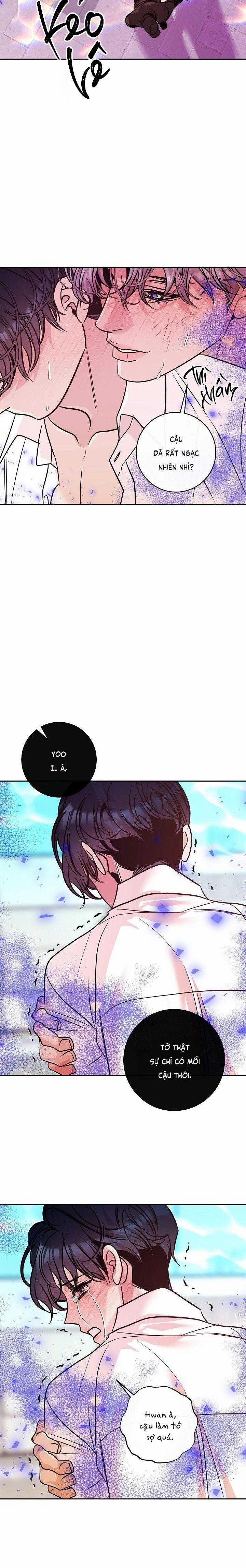 Nuôi Dưỡng Beta 14 trang 7