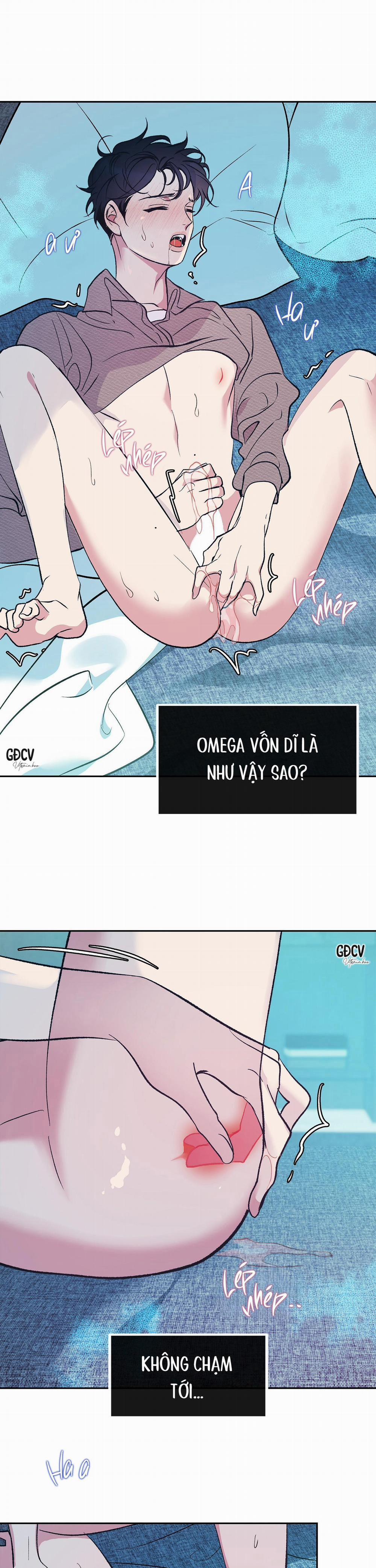 Nuôi Dưỡng Beta 2 trang 27