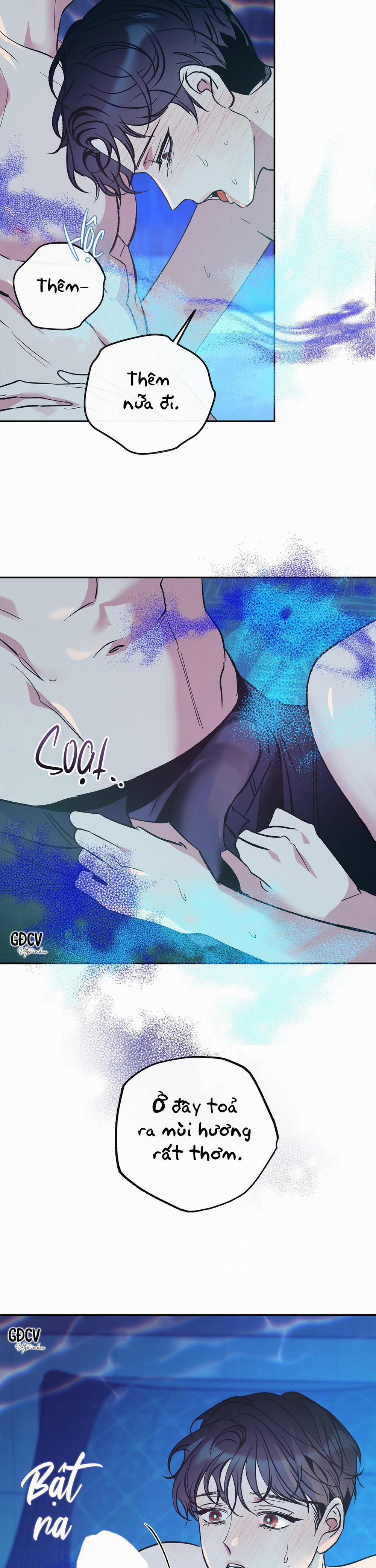 Nuôi Dưỡng Beta 4 trang 15