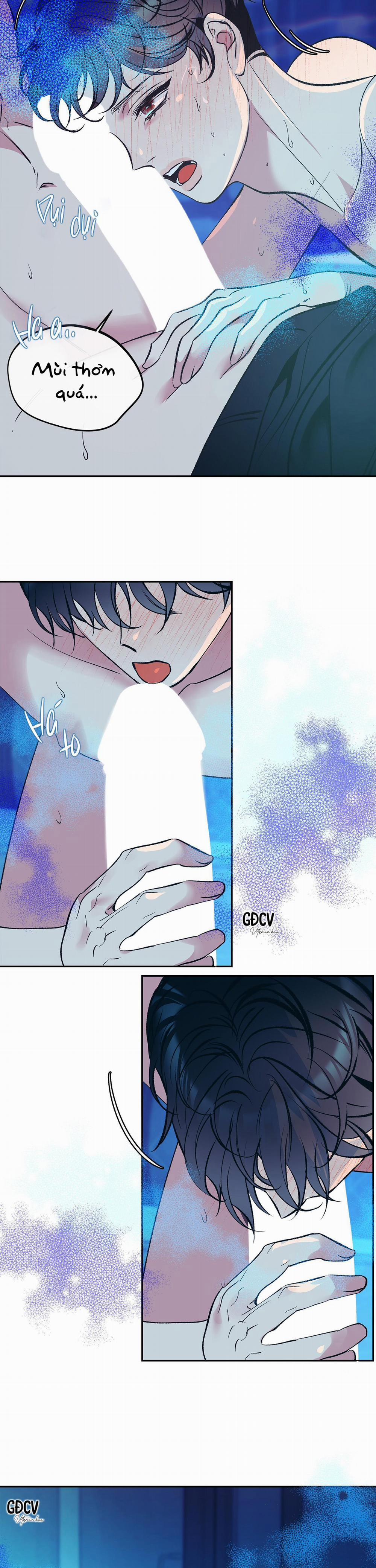 Nuôi Dưỡng Beta 4 trang 17