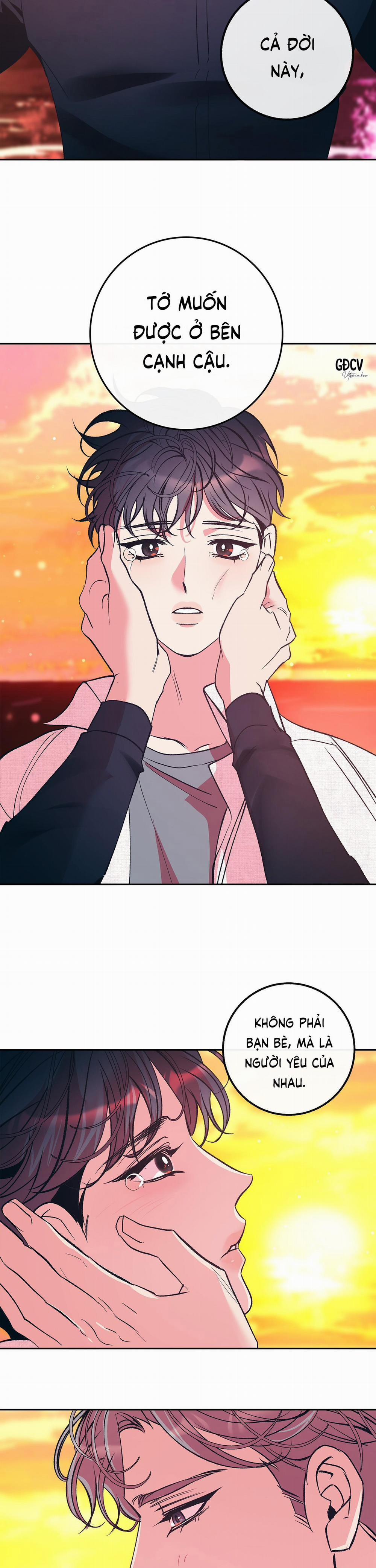 Nuôi Dưỡng Beta 8 trang 18