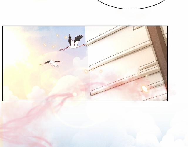 Nuôi Thỏ? Nam Chính Hắc Hóa Rồi! 11 trang 4