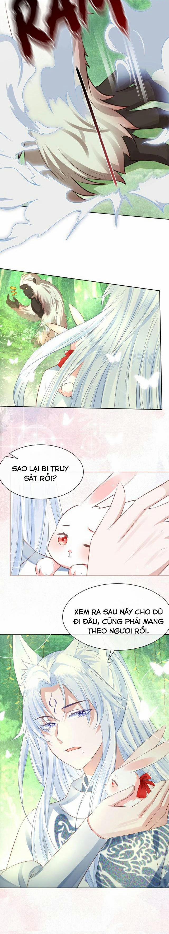 Nuôi Thỏ? Nam Chính Hắc Hóa Rồi! 21 trang 9