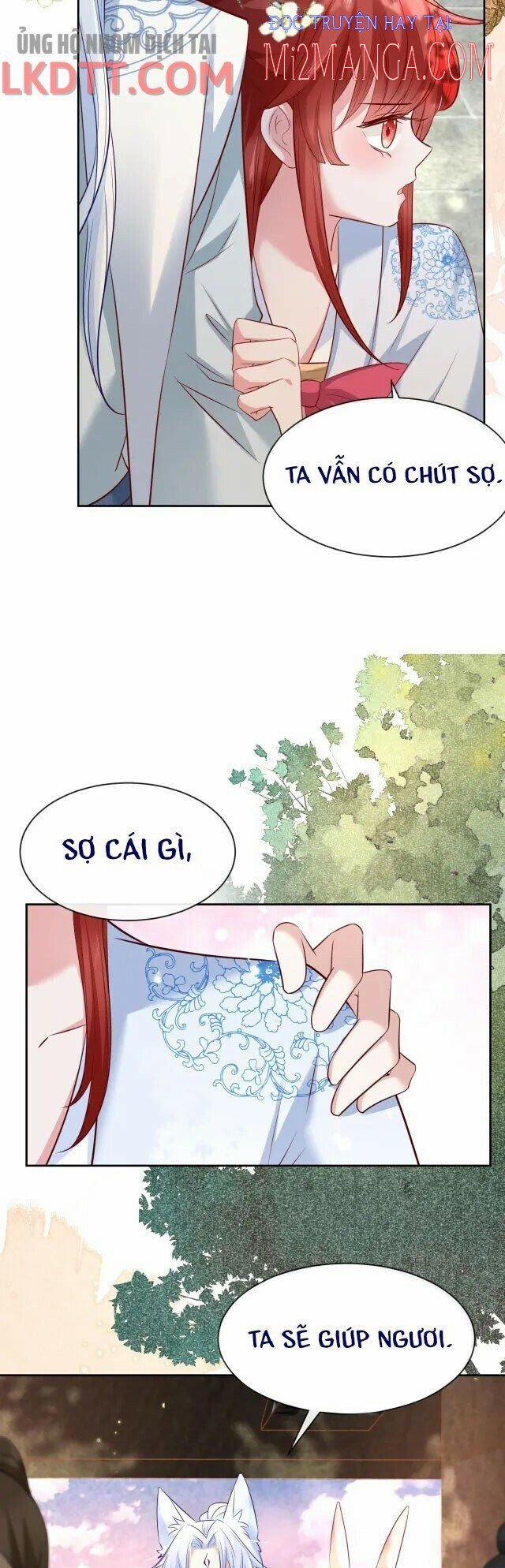 Nuôi Thỏ? Nam Chính Hắc Hóa Rồi! 25.5 trang 11