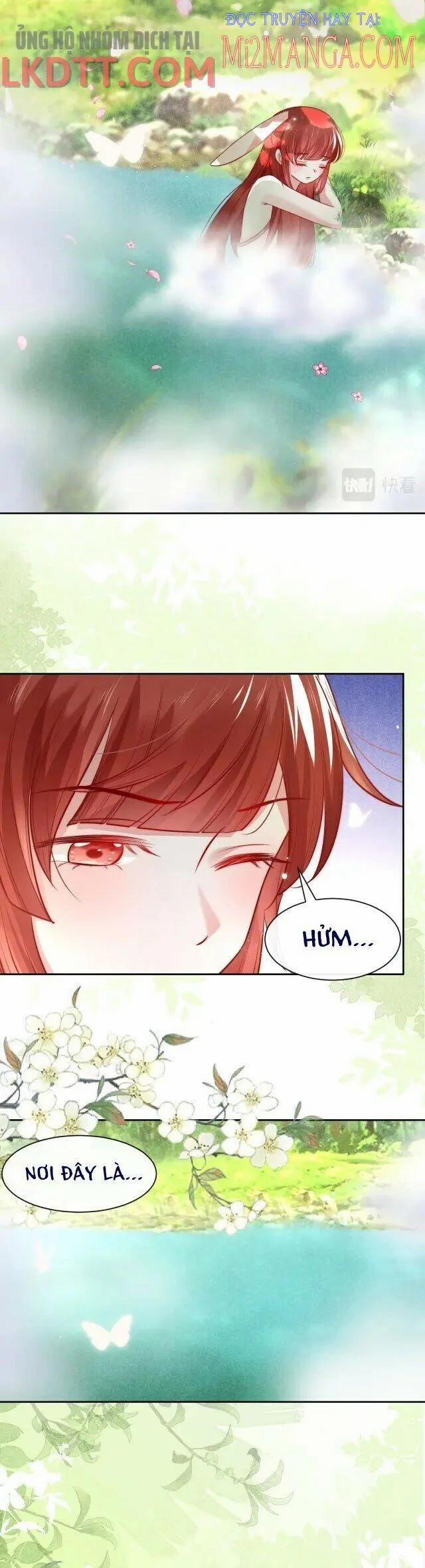 Nuôi Thỏ? Nam Chính Hắc Hóa Rồi! 25 trang 1