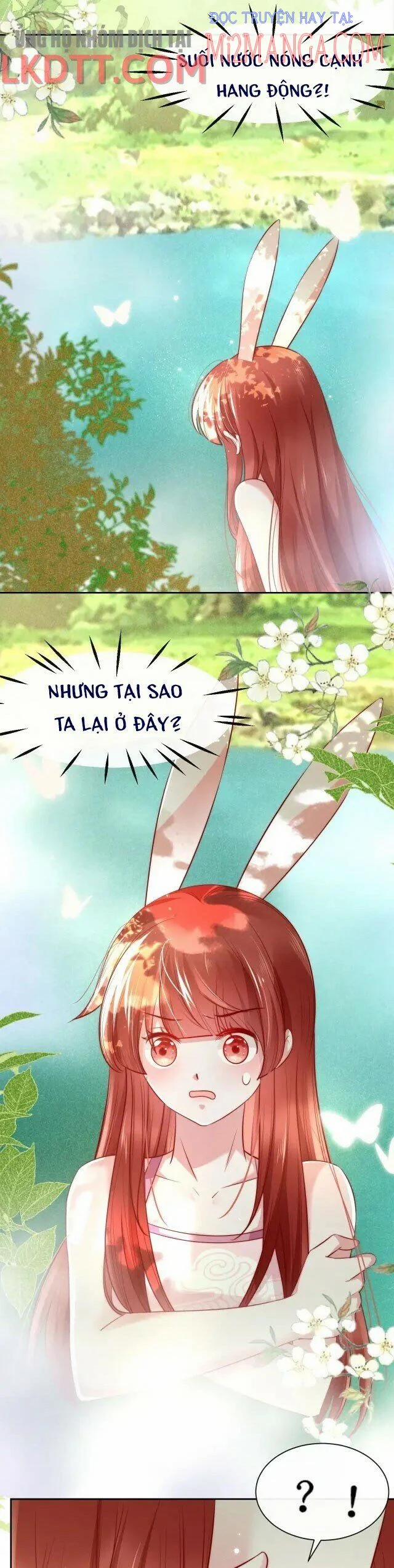 Nuôi Thỏ? Nam Chính Hắc Hóa Rồi! 25 trang 2