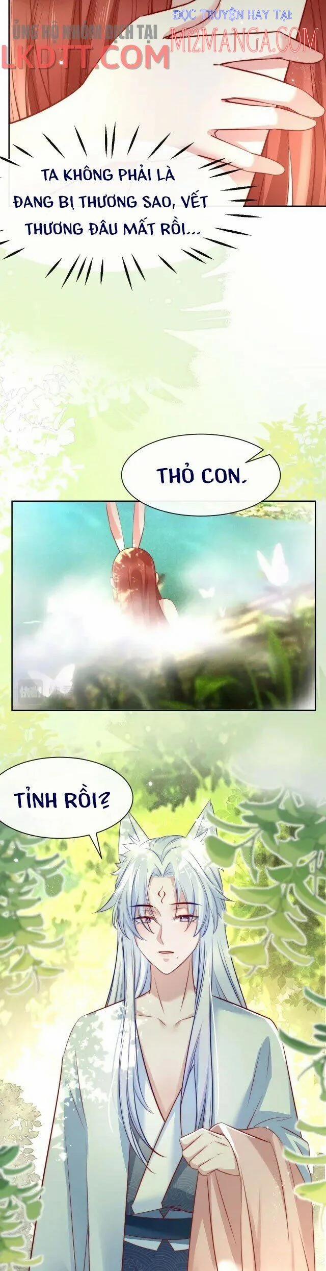 Nuôi Thỏ? Nam Chính Hắc Hóa Rồi! 25 trang 3