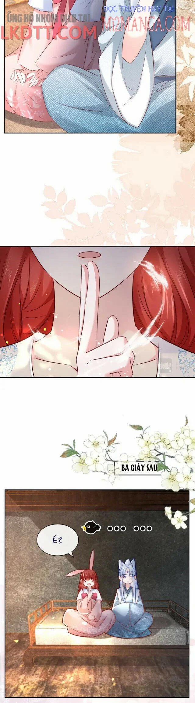 Nuôi Thỏ? Nam Chính Hắc Hóa Rồi! 26 trang 3