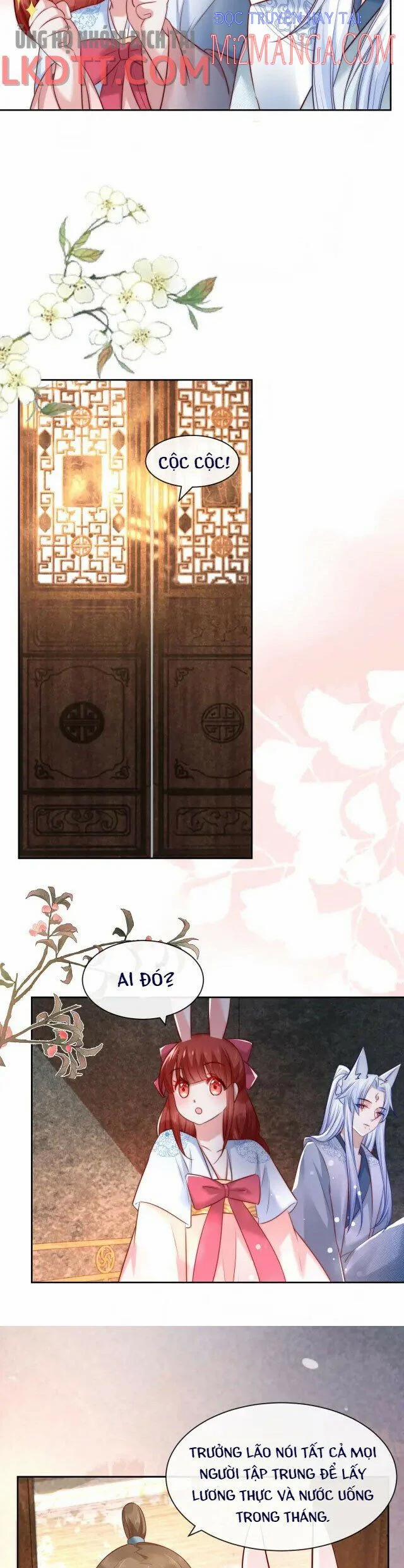 Nuôi Thỏ? Nam Chính Hắc Hóa Rồi! 26 trang 7