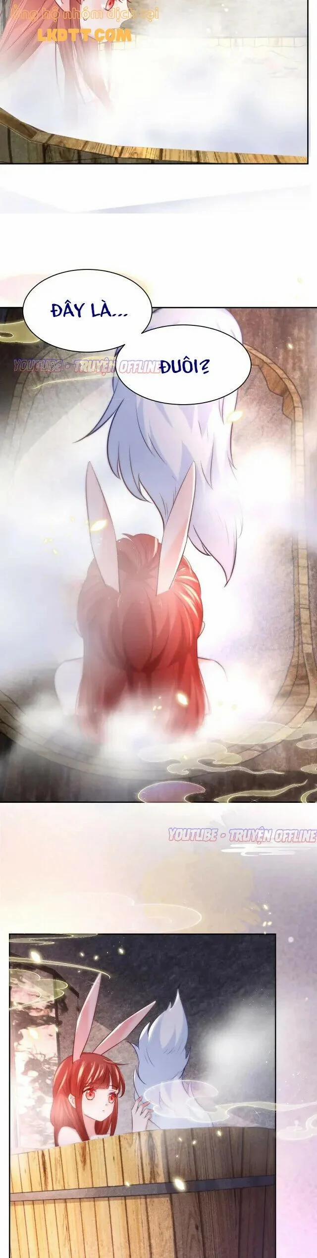 Nuôi Thỏ? Nam Chính Hắc Hóa Rồi! 31 trang 19