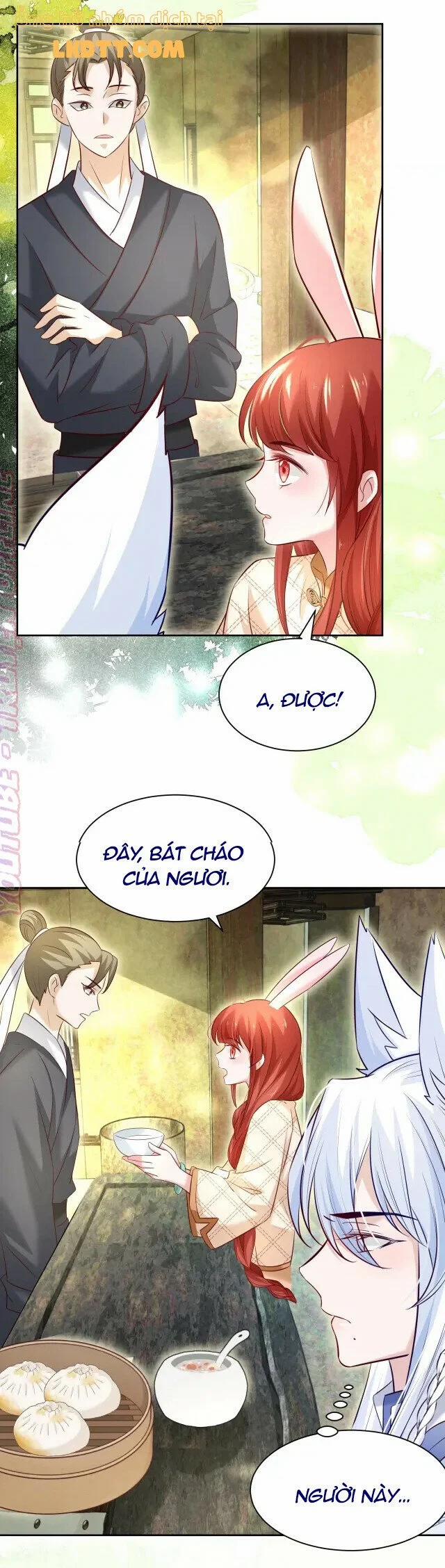 Nuôi Thỏ? Nam Chính Hắc Hóa Rồi! 38 trang 11