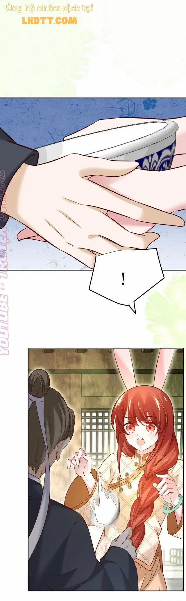 Nuôi Thỏ? Nam Chính Hắc Hóa Rồi! 38 trang 12