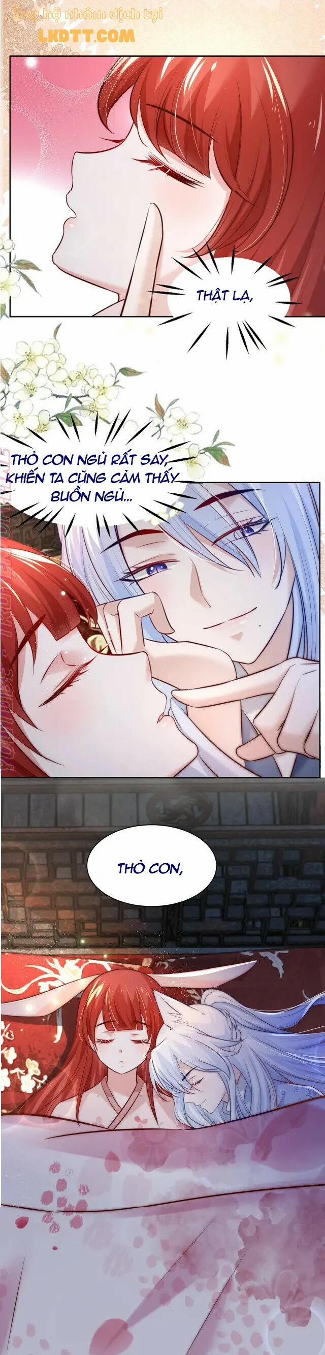 Nuôi Thỏ? Nam Chính Hắc Hóa Rồi! 38 trang 7