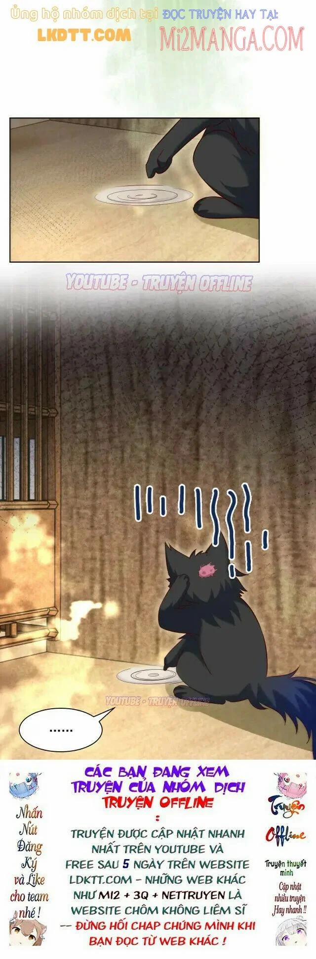 Nuôi Thỏ? Nam Chính Hắc Hóa Rồi! 39 trang 18