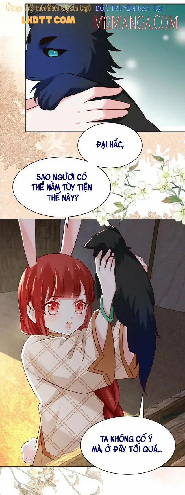 Nuôi Thỏ? Nam Chính Hắc Hóa Rồi! 40 trang 12