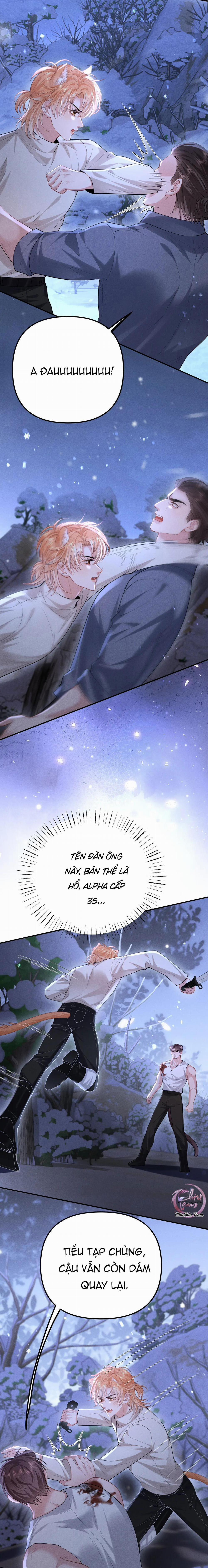 Nuông Chiều Sinh Hư 20 trang 11