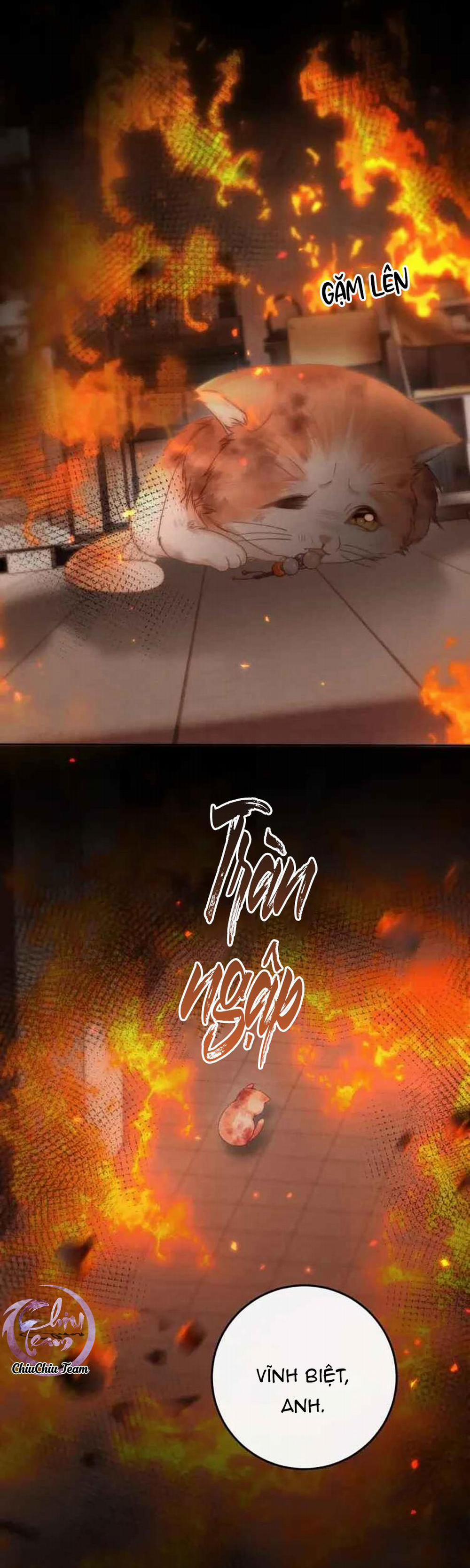 Nuông Chiều Sinh Hư 5 trang 13