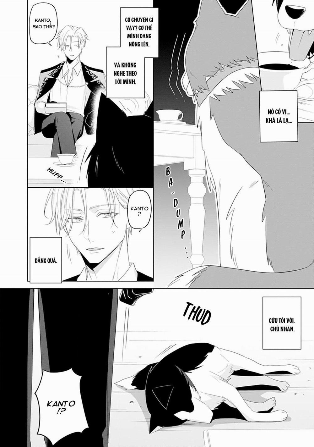 Ở đây có yaoi hơi bị choáy 220 trang 21