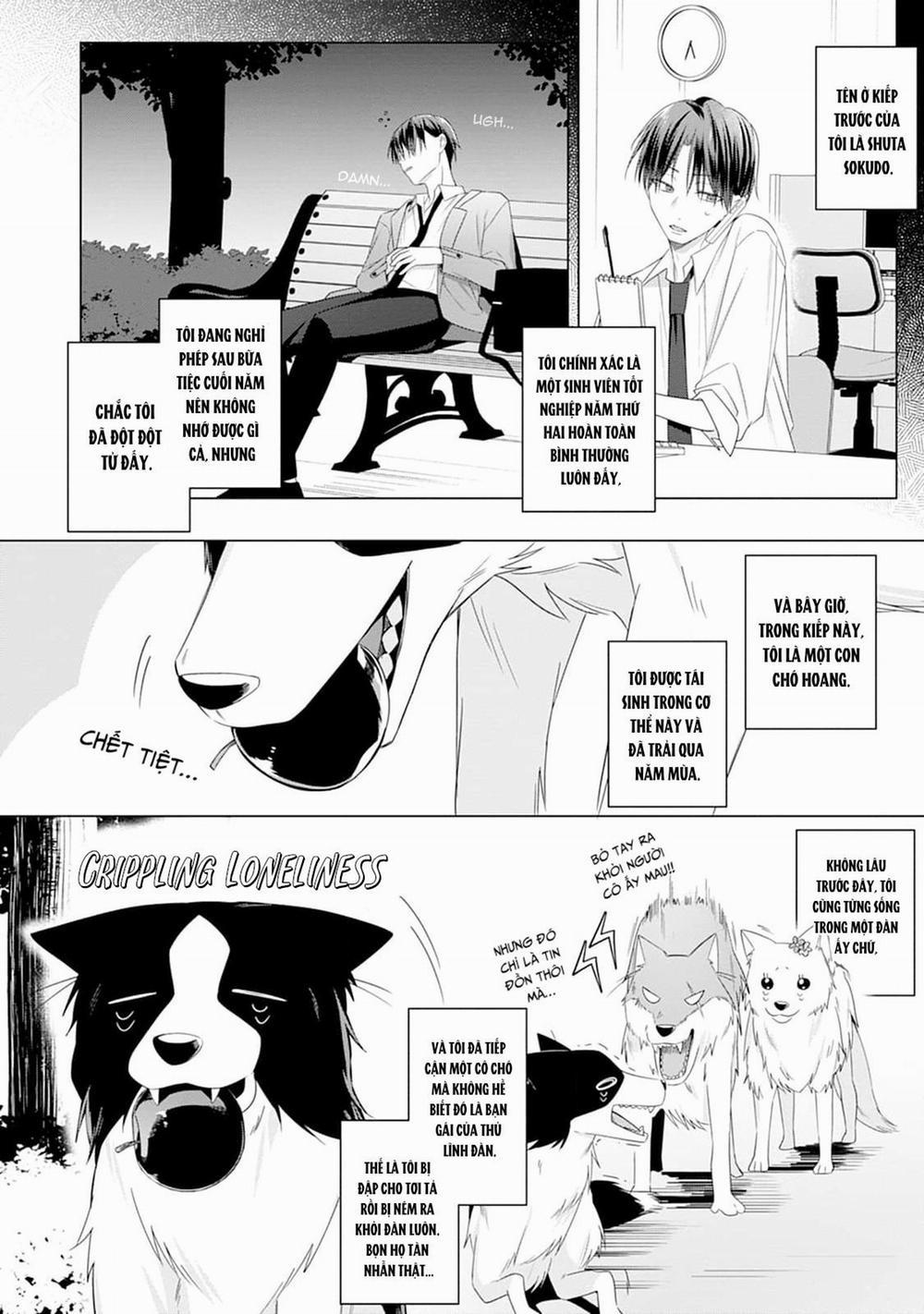 Ở đây có yaoi hơi bị choáy 220 trang 3