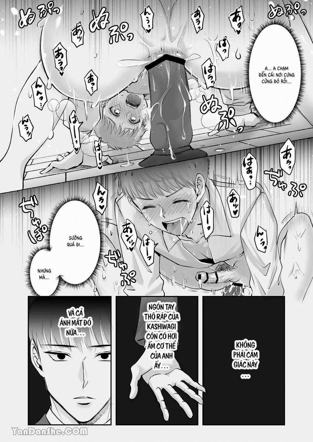 Ở đây có yaoi hơi bị choáy 264 trang 21