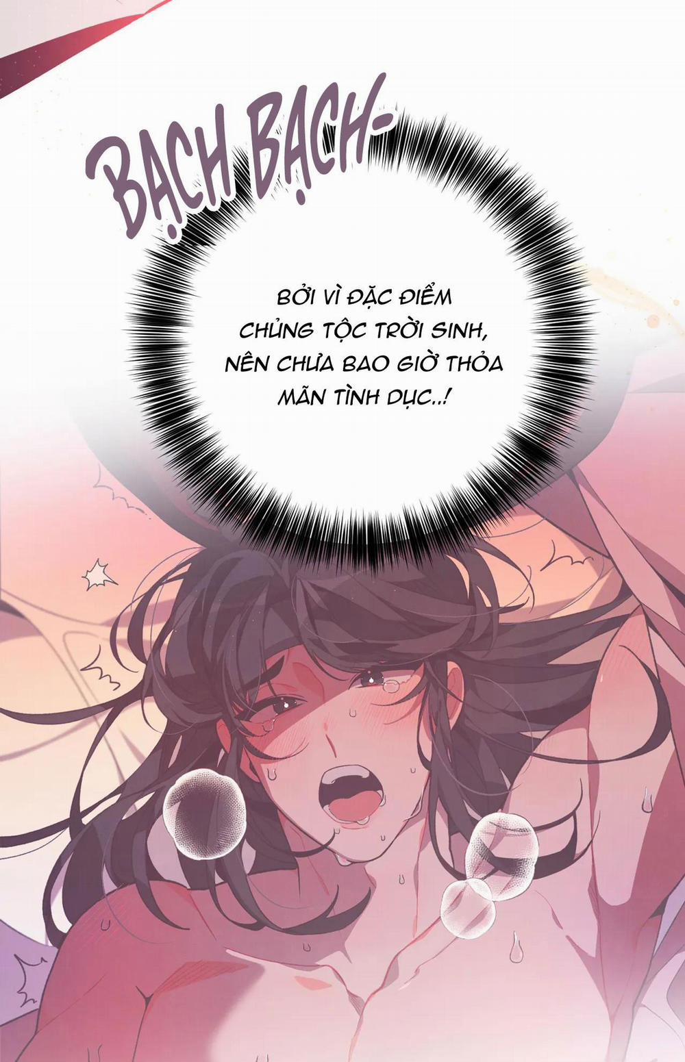 Ở ĐÂY TÔI CÓ NHÂN THÚ HỎN LỌN 1 THỎ VÀ RÙA trang 20