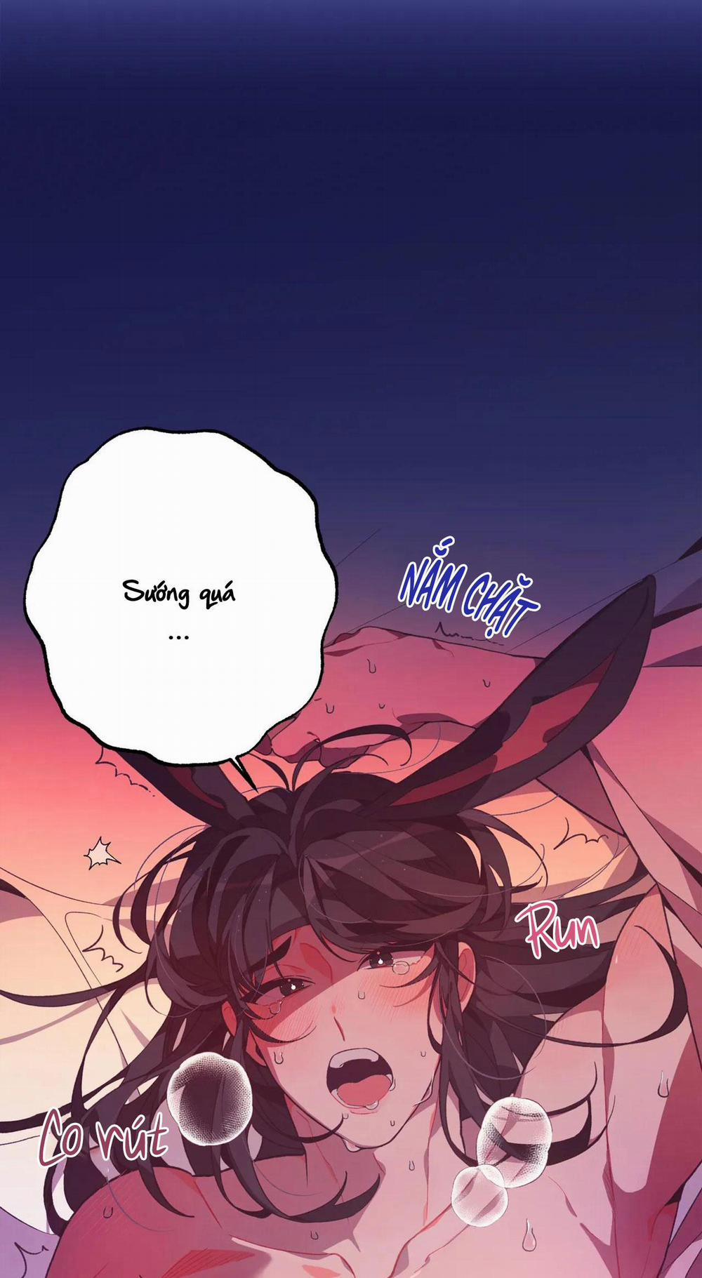 Ở ĐÂY TÔI CÓ NHÂN THÚ HỎN LỌN 1 THỎ VÀ RÙA trang 5