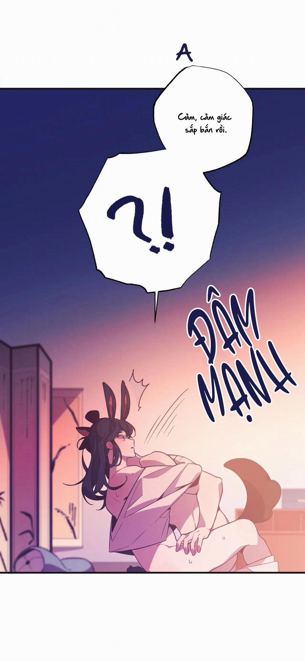 Ở ĐÂY TÔI CÓ NHÂN THÚ HỎN LỌN 1 THỎ VÀ RÙA trang 9